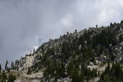 DSC_3139 (Large).JPG